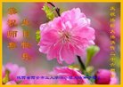 ֹ,󷨵ӹ編ִʦ𻪵(18)