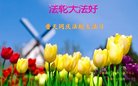 ֹ,մ󷨵ӹ編ִʦ𻪵(23)