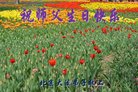 ֹ,󷨵ӹ編ִʦ𻪵(20)