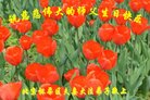 ֹ,󷨵ӹ編ִʦ𻪵(20)