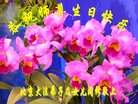ֹ,󷨵ӹ編ִʦ𻪵(20)