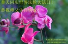 ֹ,󷨵ӹ編ִʦ𻪵(20)