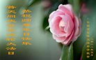 ֹ,󷨵ӹ編ִʦ𻪵(22)