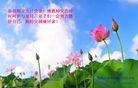 ֹ,ӱ󷨵ӹ編ִʦ𻪵(27)