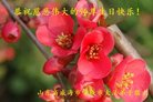 ֹ,ɽ󷨵ӹ編ִʦ𻪵(24)