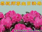 ֹ,󷨵ӹ編ִʦ𻪵(21)