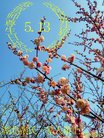 ֹ,󷨵ӹ編ִʦ𻪵(24)