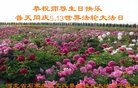 ֹ,ʯׯ󷨵ӹ編ִʦ𻪵(20)