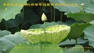 ֹ,Ĵ󷨵ӹ編ִʦ𻪵(20)