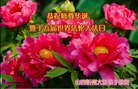 法轮功,山西大法弟子恭贺世界法轮大法日暨师尊华诞(21条)