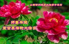 ֹ,ɽ󷨵ӹ編ִʦ𻪵(21)