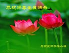 ֹ,ʯׯ󷨵ӹ編ִʦ𻪵(20)