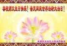 ֹ,ɶ󷨵ӹ編ִʦ𻪵(15)