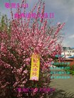 ֹ,󷨵ӹ編ִʦ𻪵(20)