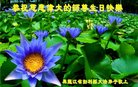 ֹ,󷨵ӹ編ִʦ𻪵(19)