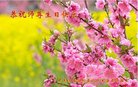 法轮功,黑龙江大法弟子恭贺世界法轮大法日暨师尊华诞(19条)