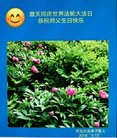 ֹ,󷨵ӹ編ִʦ𻪵(22)