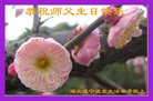 ֹ,󷨵ӹ編ִʦ𻪵(21)