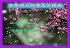 ֹ,󷨵ӹ編ִʦ𻪵(21)