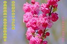 ֹ,󷨵ӹ編ִʦ𻪵(22)