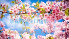 ֹ,󷨵ӹ編ִʦ𻪵(20)