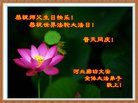 ֹ,ȷ󷨵ӹ編ִʦ𻪵(21)