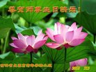 ֹ,󷨵ӹ編ִʦ𻪵(19)