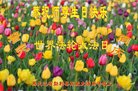 ֹ,󷨵ӹ編ִʦ𻪵(19)