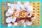 ֹ,ɽ󷨵ӹ編ִʦ𻪵(26)