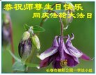 ֹ,󷨵ӹ編ִʦ𻪵(19)