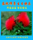 ֹ,󷨵ӹ編ִʦ𻪵(19)