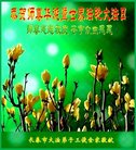 ֹ,󷨵ӹ編ִʦ𻪵(19)
