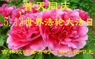 ֹ,д󷨵ӹ編ִʦ𻪵(19)