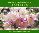 ֹ,Ĵ󷨵ӹ編ִʦ𻪵(21)