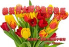ֹ,󷨵ӹ編ִʦ𻪵(20)