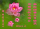 ֹ,ɶ󷨵ӹ編ִʦ𻪵(20)