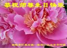 法轮功,内蒙古大法弟子恭贺世界法轮大法日暨师尊华诞(20条)