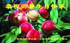 ֹ,ɹŴ󷨵ӹ編ִʦ𻪵(20)