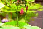 ֹ,Ϫ󷨵ӹ編ִʦ𻪵(19)