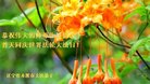 ֹ,Ϫ󷨵ӹ編ִʦ𻪵(19)