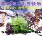 ֹ,ʡ󷨵ӹ編ִʦ𻪵(21)