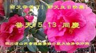ֹ,Ĵ󷨵ӹ編ִʦ𻪵(21)