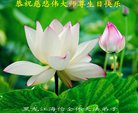 ֹ,󷨵ӹ編ִʦ𻪵(19)