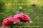 ֹ,ɽ󷨵ӹ編ִʦ𻪵(26)