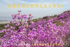 ֹ,ɽ󷨵ӹ編ִʦ𻪵(26)