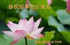法轮功,河南大法弟子恭贺世界法轮大法日暨师尊华诞(23条)