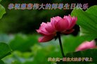 ֹ,ʡ󷨵ӹ編ִʦ𻪵(22)