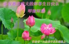 ֹ,ʡ󷨵ӹ編ִʦ𻪵(22)