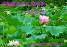 ֹ,ʡ󷨵ӹ編ִʦ𻪵(22)