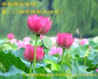 ֹ,ɽ󷨵ӹ編ִʦ𻪵(19)